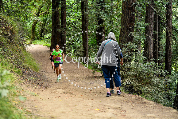 Coastal_RedwoodSummer-010