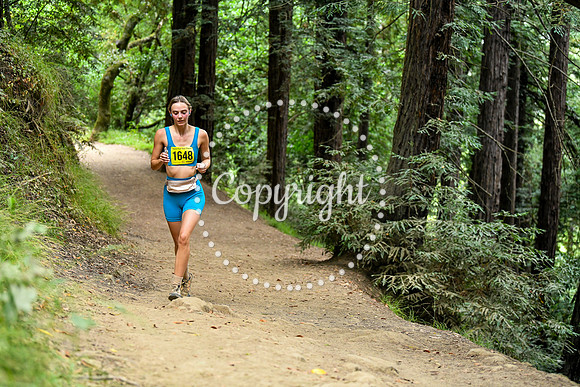 Coastal_RedwoodSummer-016
