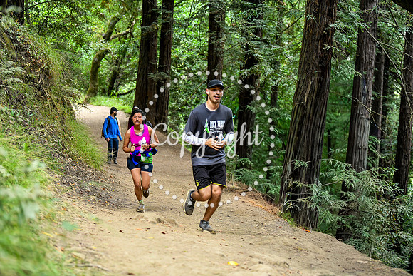 Coastal_RedwoodSummer-118