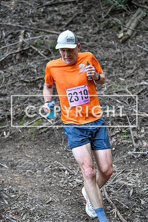 CoastalHorseshoe_Lake-148