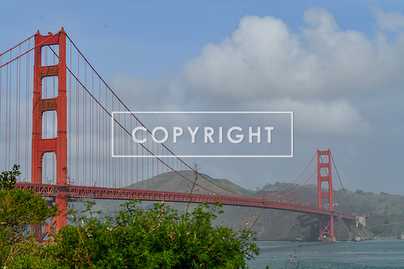 Finishline_ZoomSF-01