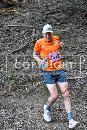 CoastalHorseshoe_Lake-147