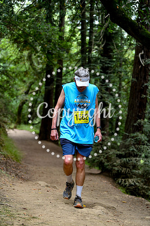 Coastal_RedwoodSummer-159